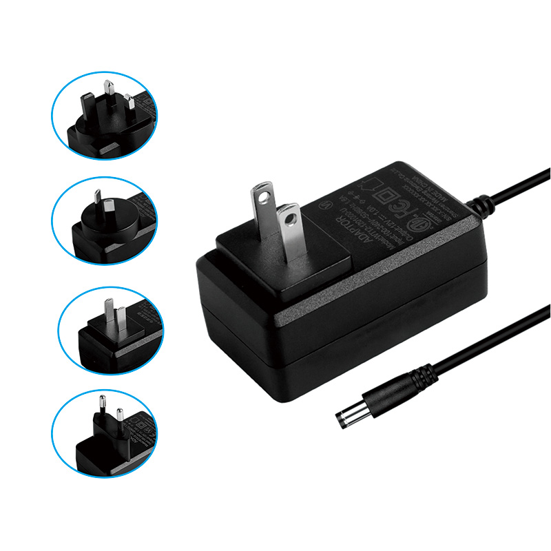 12W Wall Mounted Power Adapter